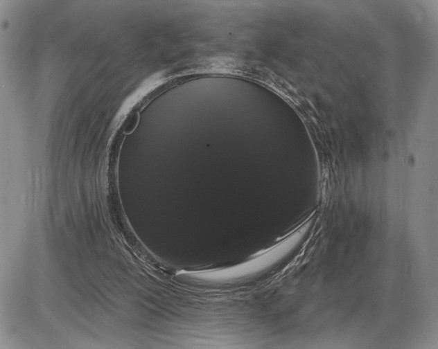 X0000085220200200703231541
