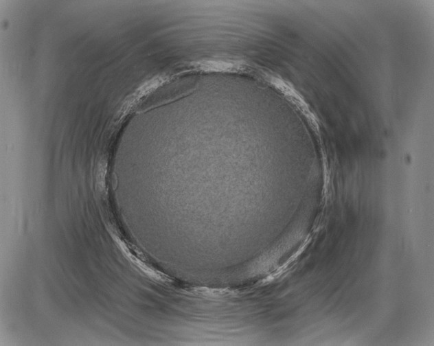 X0000085220201200703231541