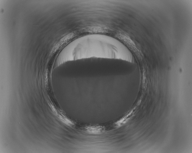 X0000085220202200703231541