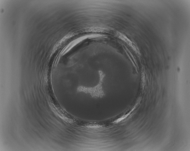 X0000085220203200703231541