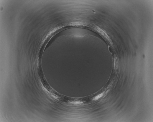 X0000085220204200703231541