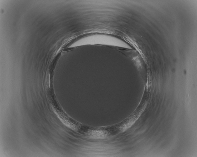 X0000085220205200703231541