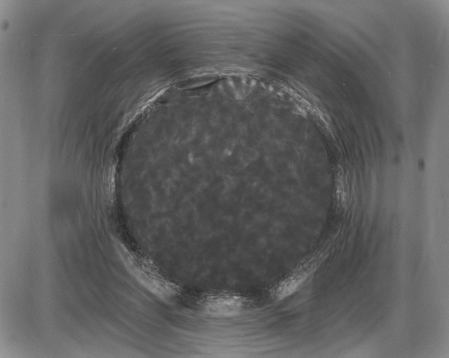 X0000085220206200703231541