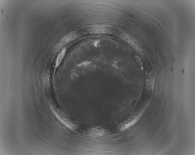 X0000085220207200703231541