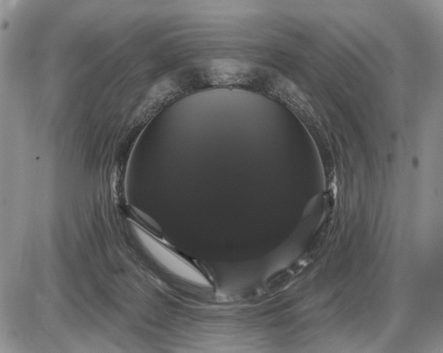 X0000085220219200703231541