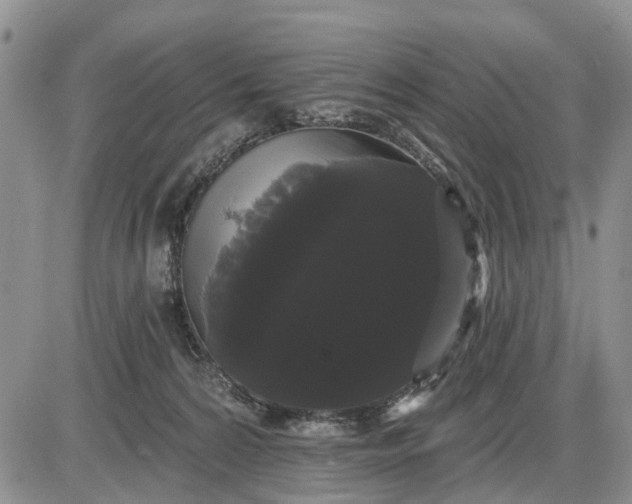 X0000085220224200703231541