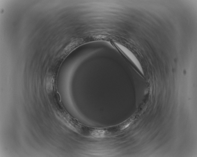 X0000085220227200703231541