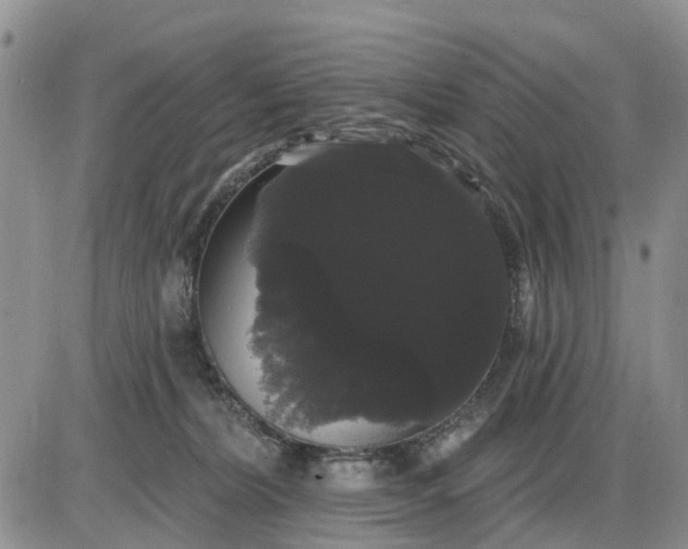 X0000085220228200703231541