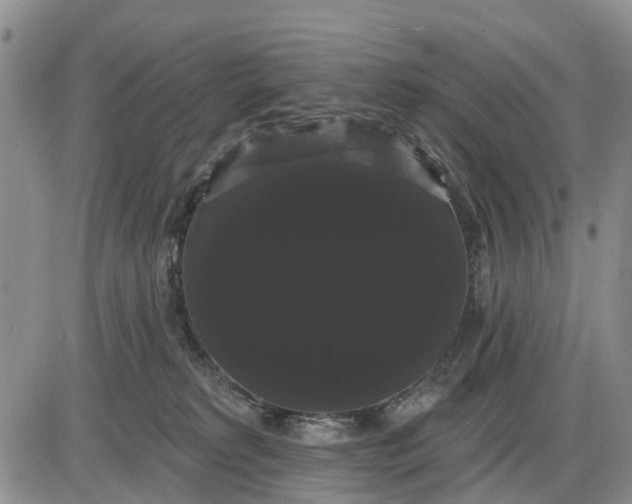 X0000085220229200703231541