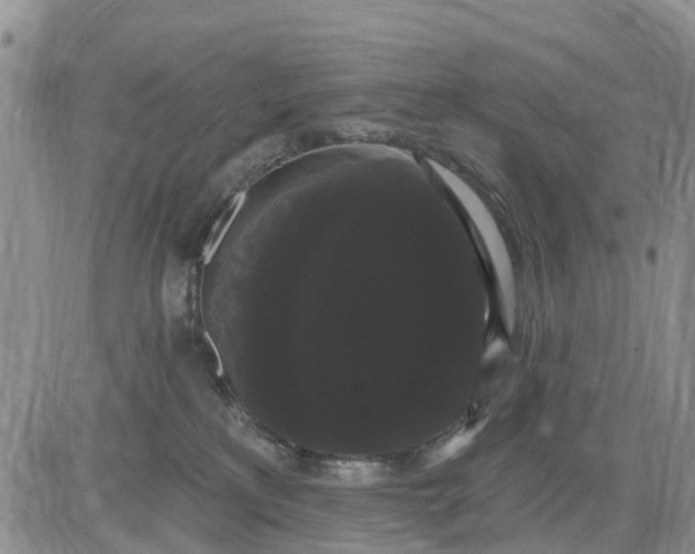 X0000085220233200703231541