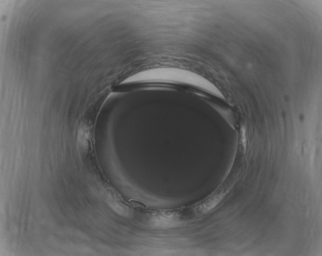 X0000085220235200703231541