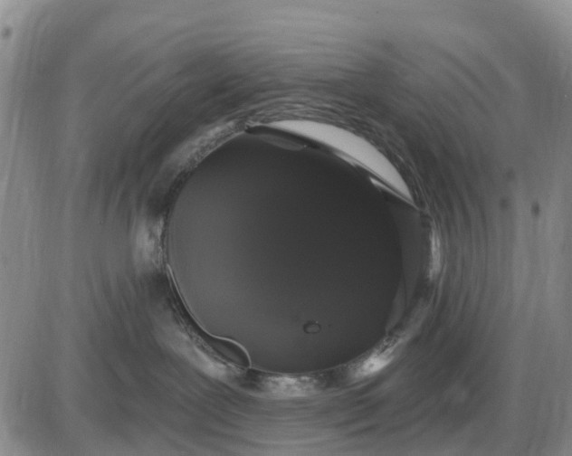 X0000085220239200703231541