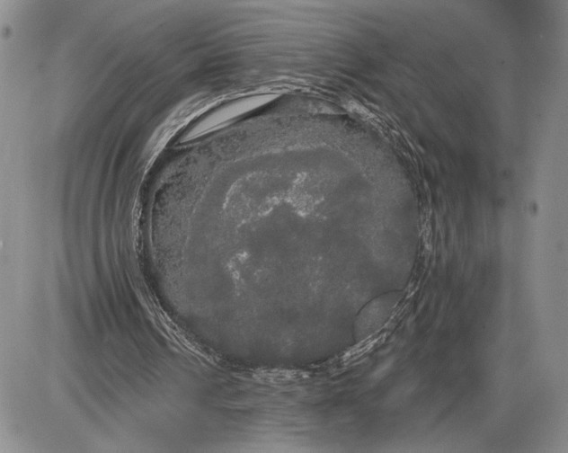 X0000085220242200703231540