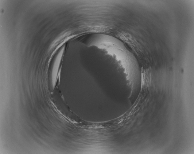 X0000085220243200703231540