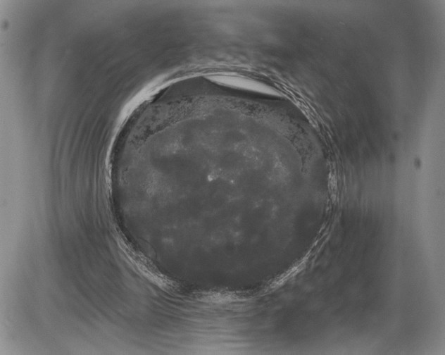 X0000085220246200703231540