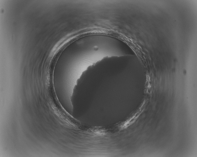 X0000085220247200703231540