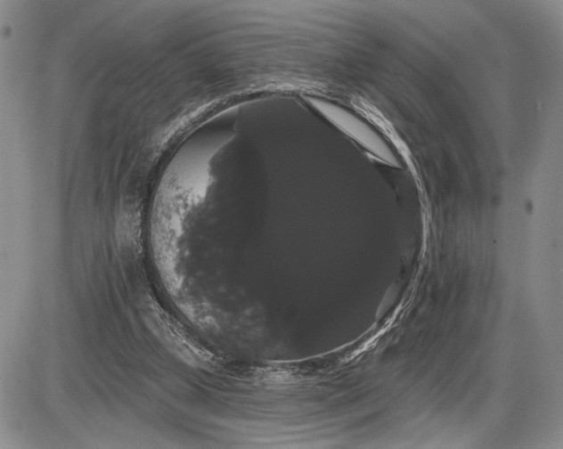 X0000085220249200703231540