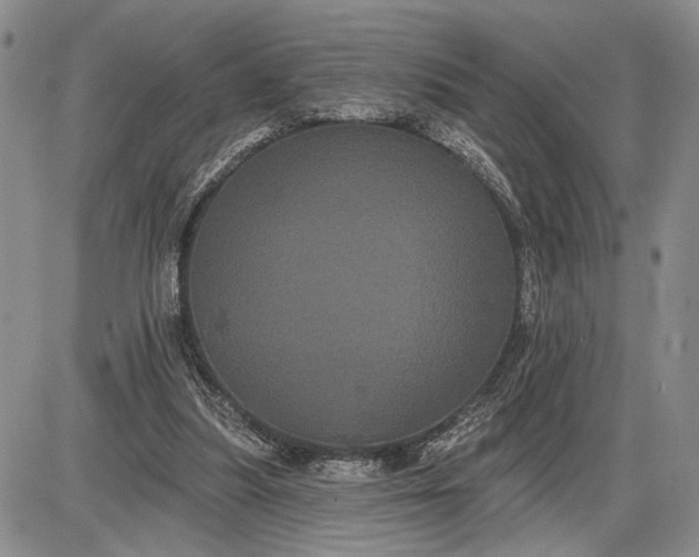 X0000085220251200703231540
