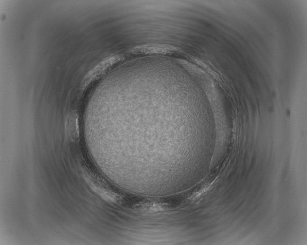 X0000085220254200703231540
