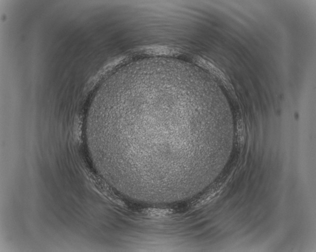 X0000085220255200703231540