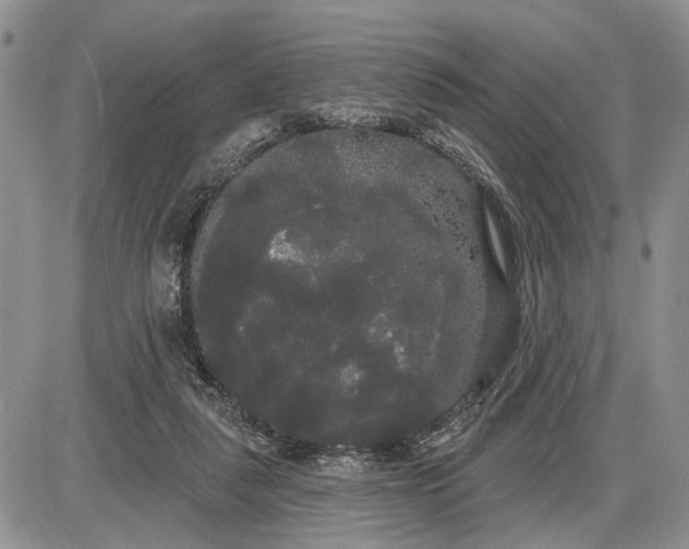 X0000085220259200703231540