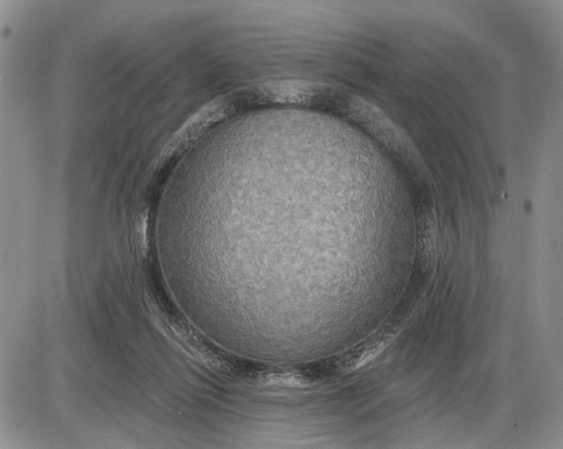 X0000085220262200703231540