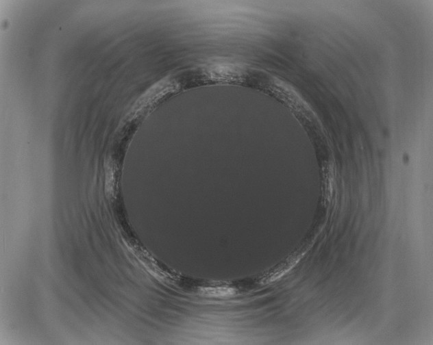 X0000085220266200703231540