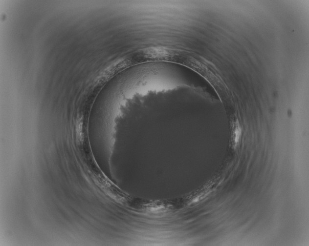 X0000085220267200703231540