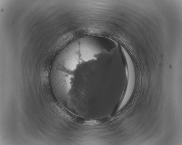 X0000085220269200703231540