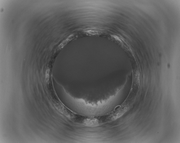 X0000085220271200703231540
