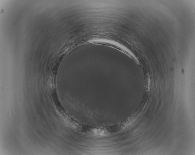 X0000085220272200703231540