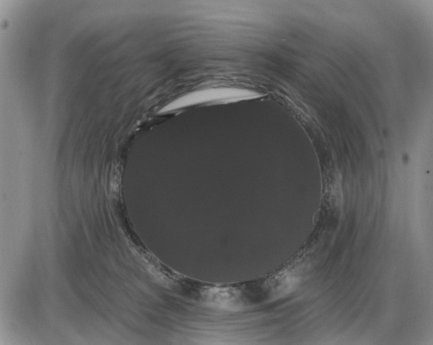 X0000085220277200703231540