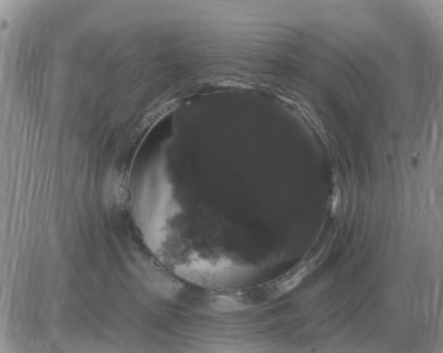 X0000085220285200703231540