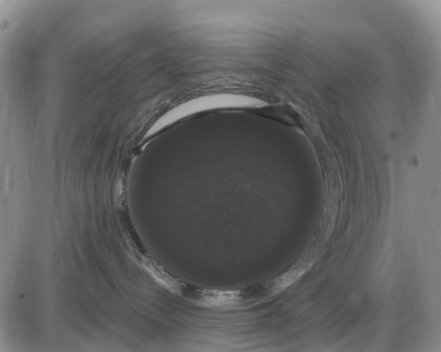 X0000085220288200703231540
