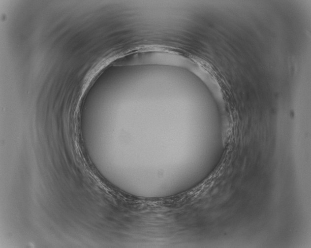 X0000085220289200703231540