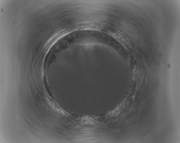 X0000085220290200703231540