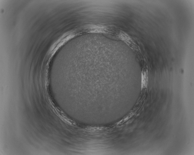 X0000085220291200703231540