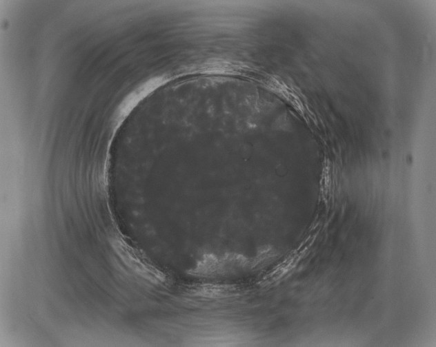 X0000085220292200703231540