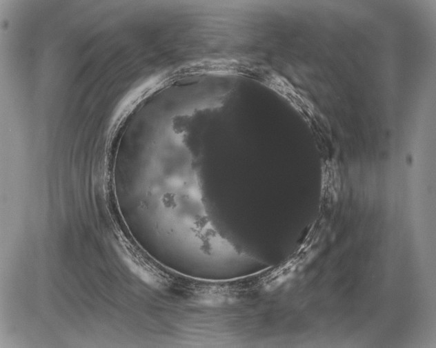 X0000085220293200703231540