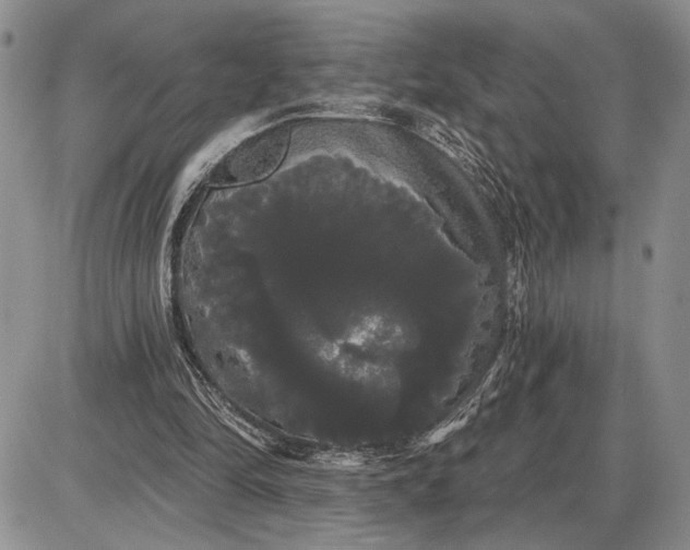 X0000085220294200703231540