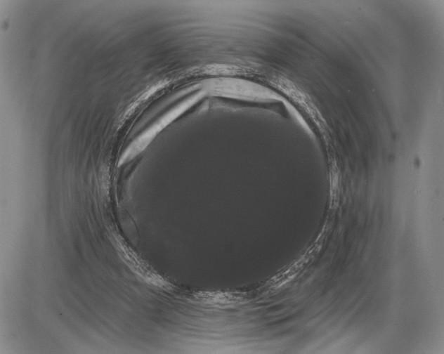 X0000085220297200703231540