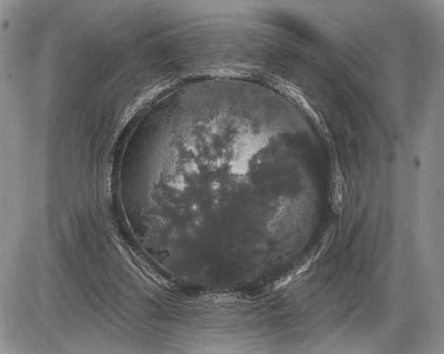 X0000085220299200703231539