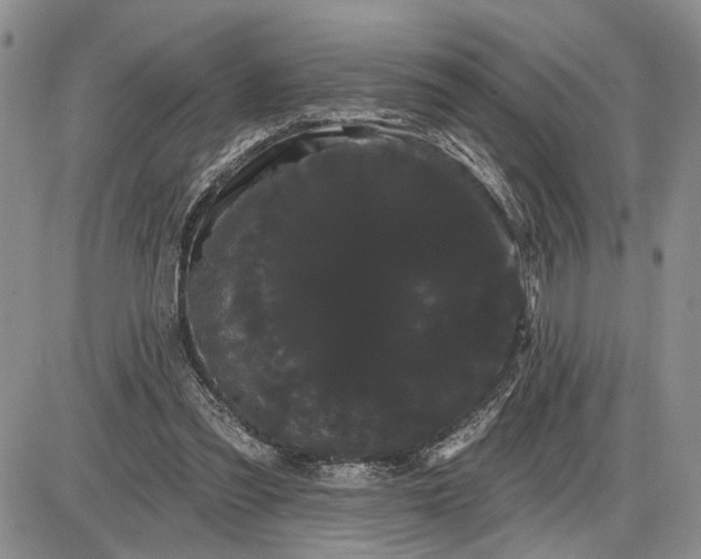 X0000085220301200703231539
