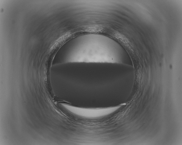X0000085220303200703231539