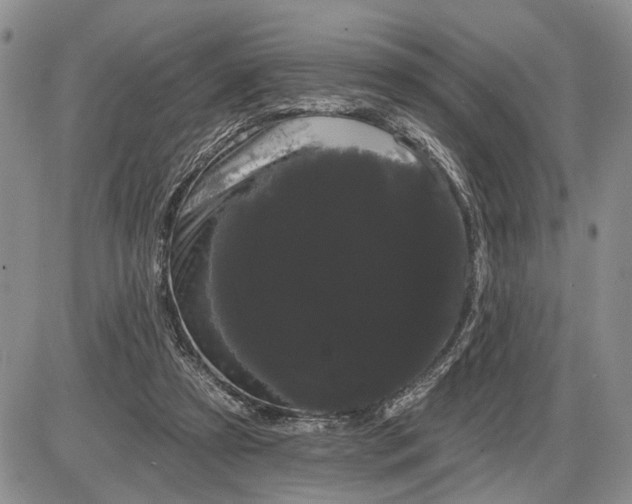 X0000085220305200703231539