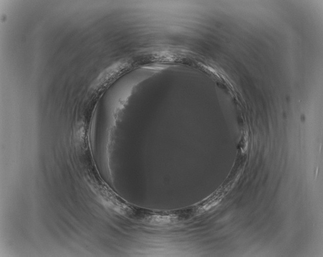 X0000085220314200703231539