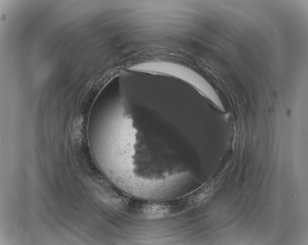 X0000085220319200703231539