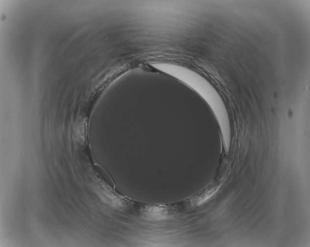 X0000085220325200703231539