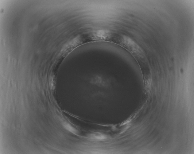X0000085220331200703231539