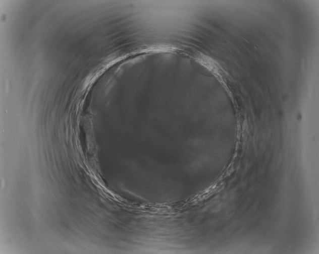 X0000085220337200703231538